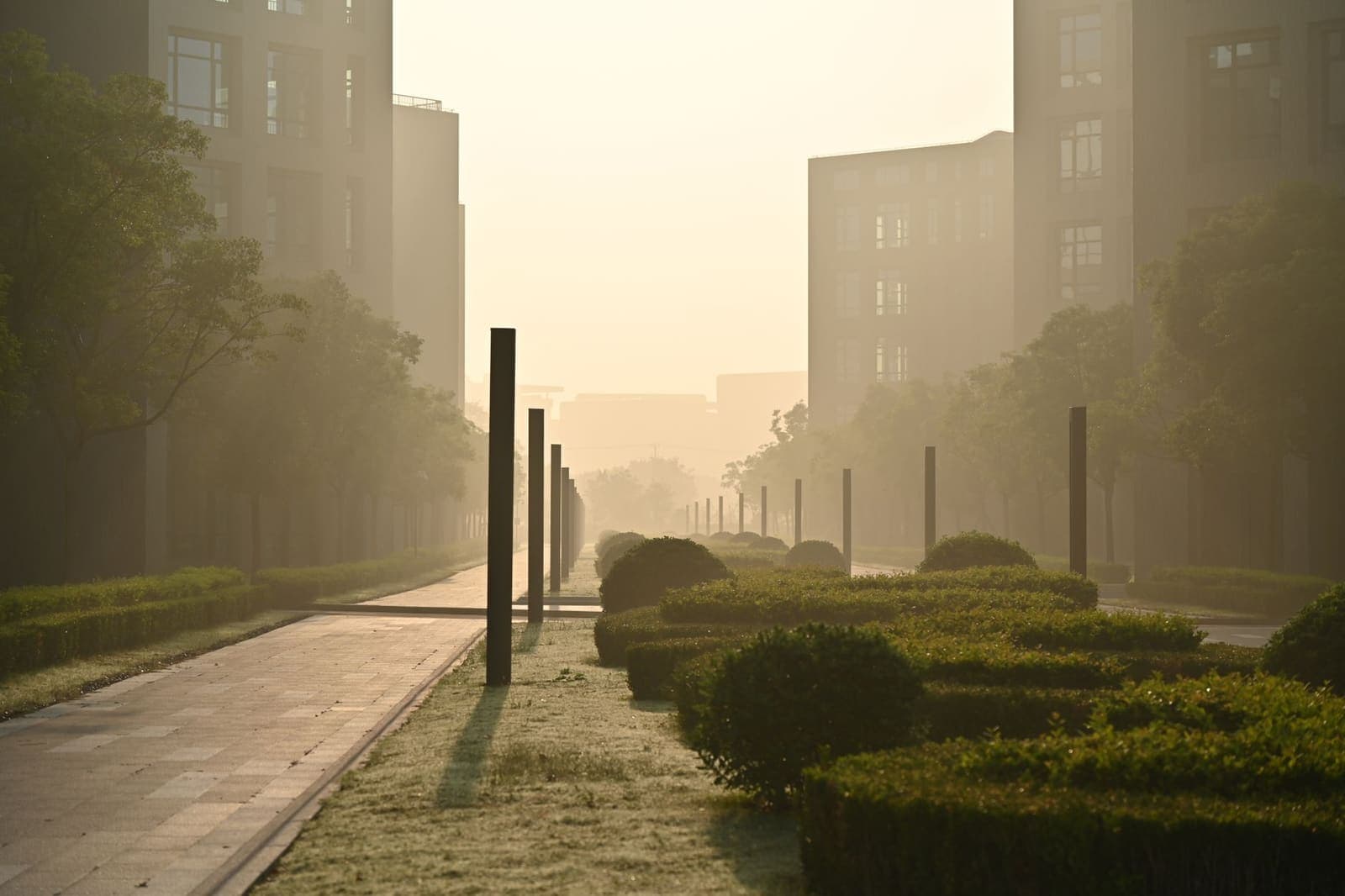 A wide establishing frame: a street at the hour before it fills.